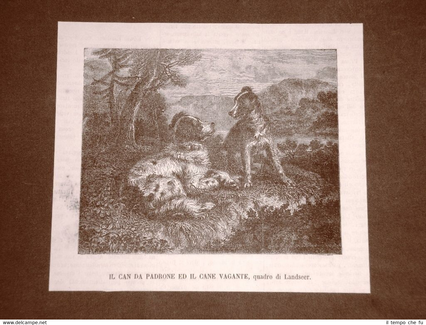 Incisione del 1866 Can da padrone e cane vagante Quadro …