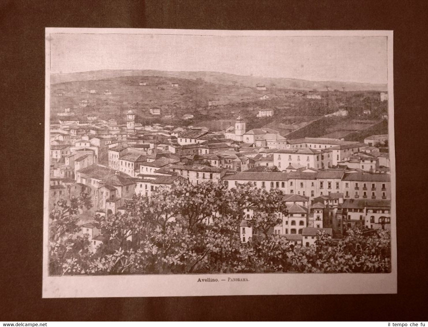 Incisione del 1891 Bellissimo panorama di Avellino - Campania