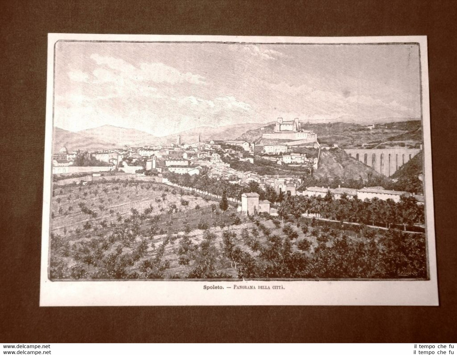 Incisione del 1891 Rarissimo panorama di Spoleto - Umbria