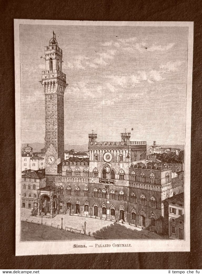 Incisione del 1891 Siena, Palazzo Comunale o Municipio - Toscana