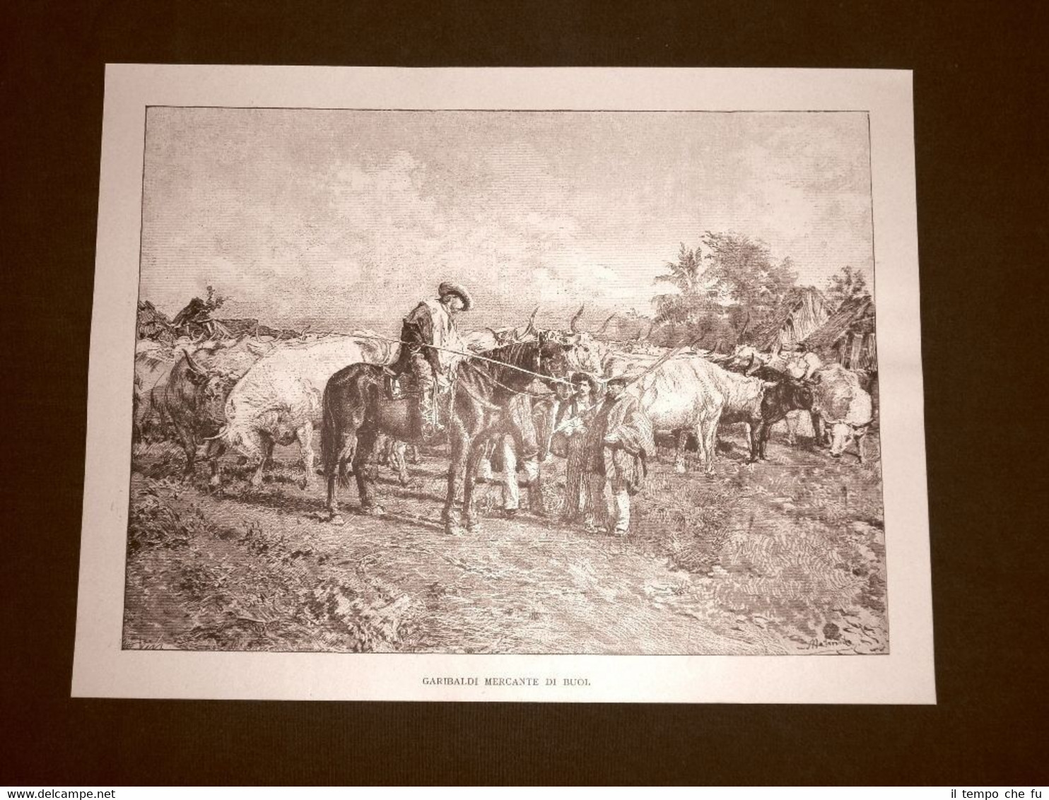 Incisione del 1892 Giuseppe Garibaldi mercante di buoi