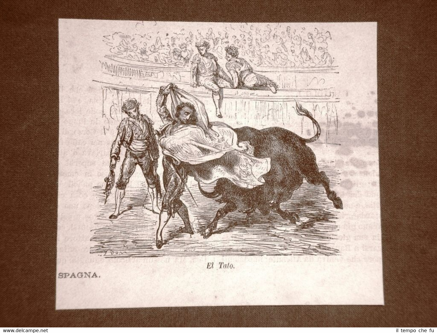 Incisione Gustave Dorè del 1874 Combattimenti di tori El Tato …
