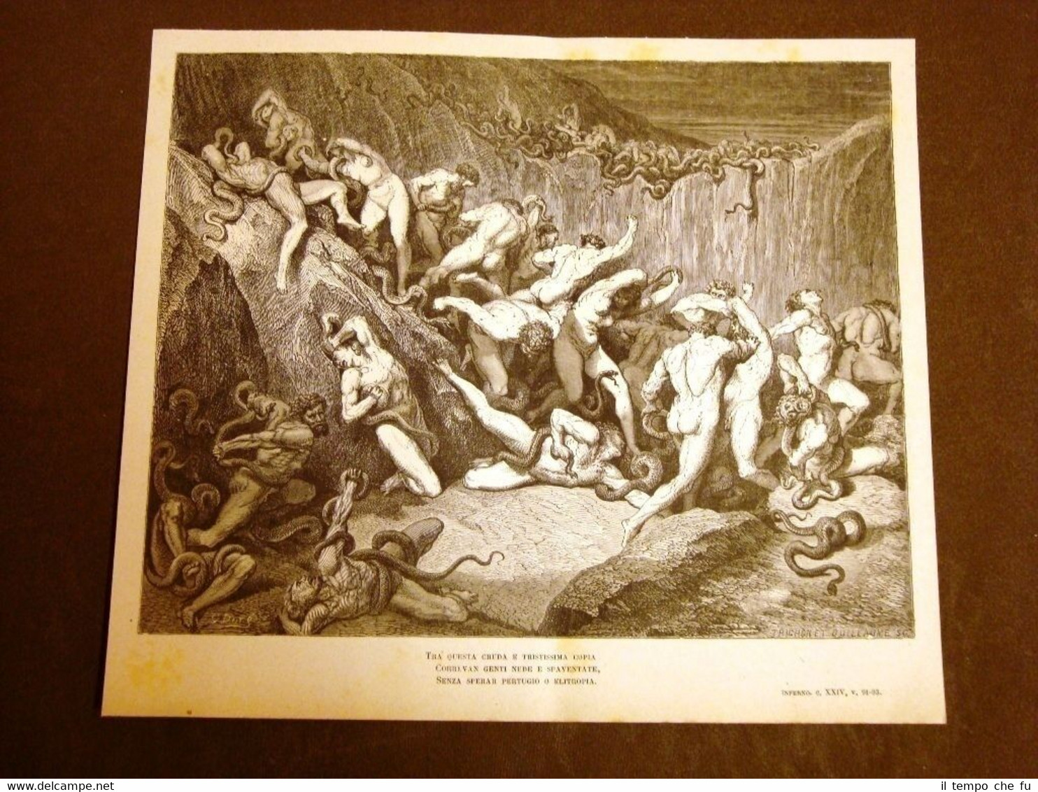 Incisione Gustave Dorè del 1880 Ladri e serpenti Dante's Inferno …