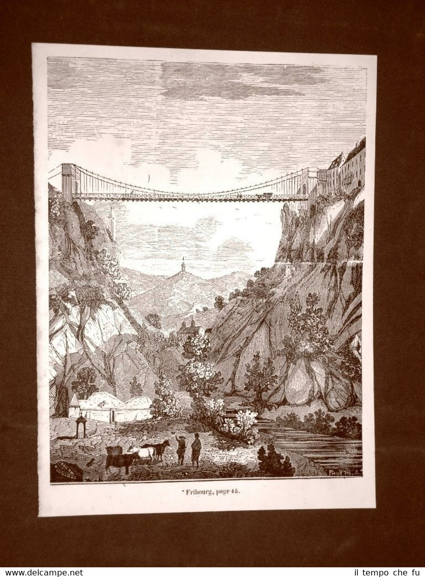 Incisione in rame del 1849 Il ponte di Friborgo, Friburgo …