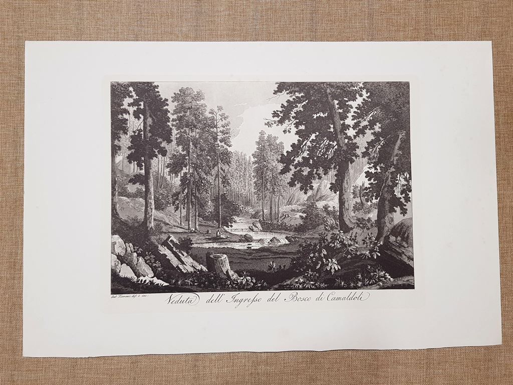 Ingresso del bosco di Camaldoli nell'800 A. Terreni Grande litografia …