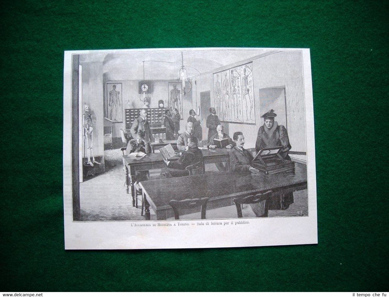 L'accademia di medicina a Torino nel 1893 - Sala di …