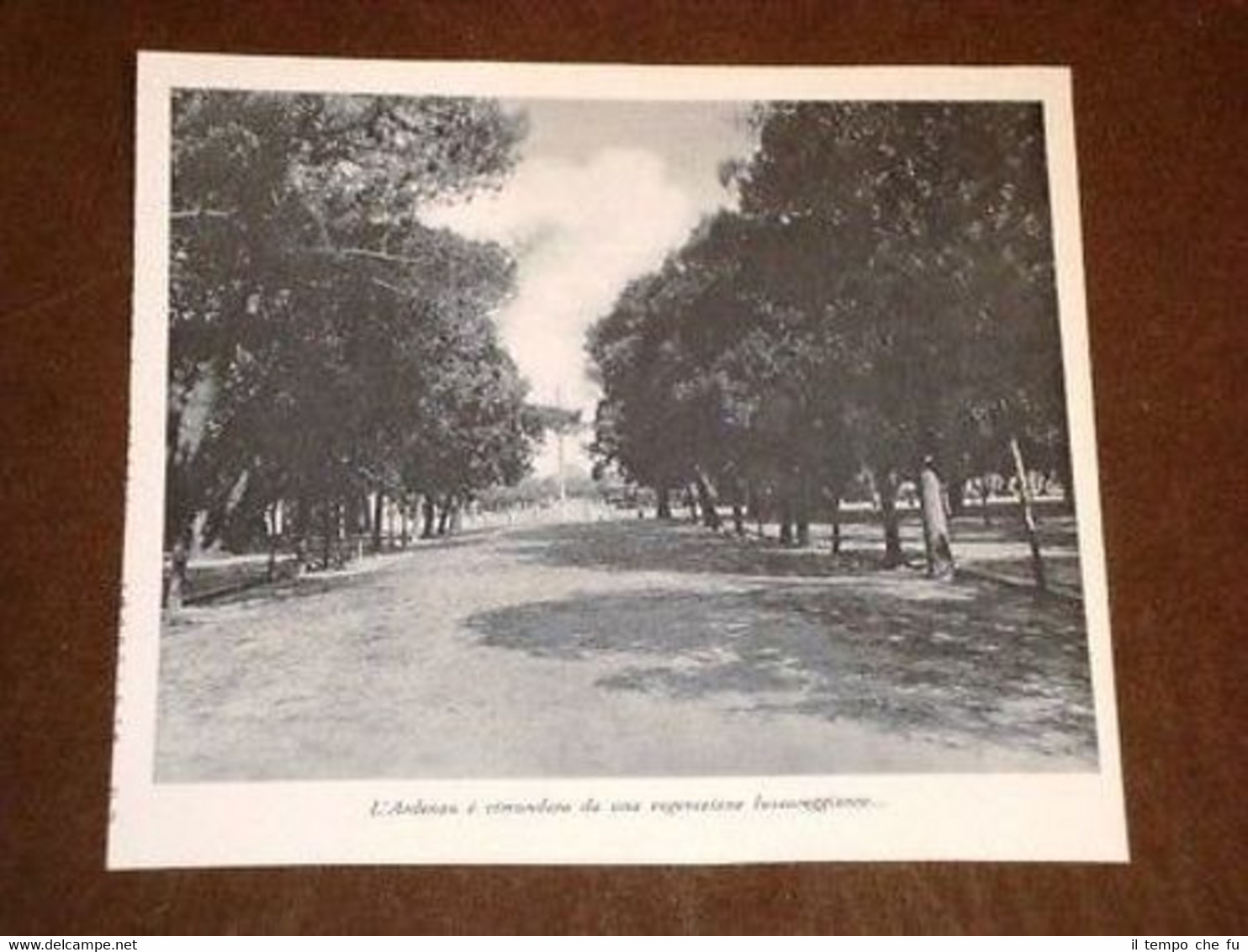 L'Ardenza - Quartiere di Livorno