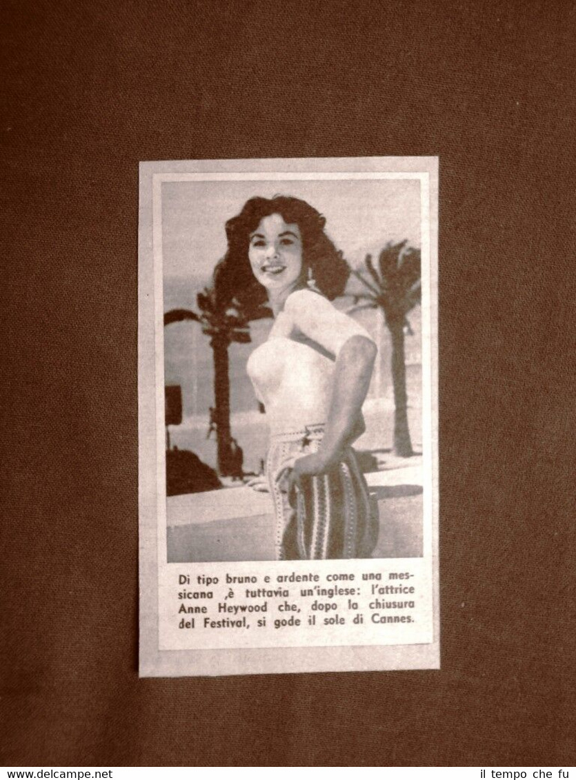 L'Attrice Anne Heywood a Cannes nel 1957