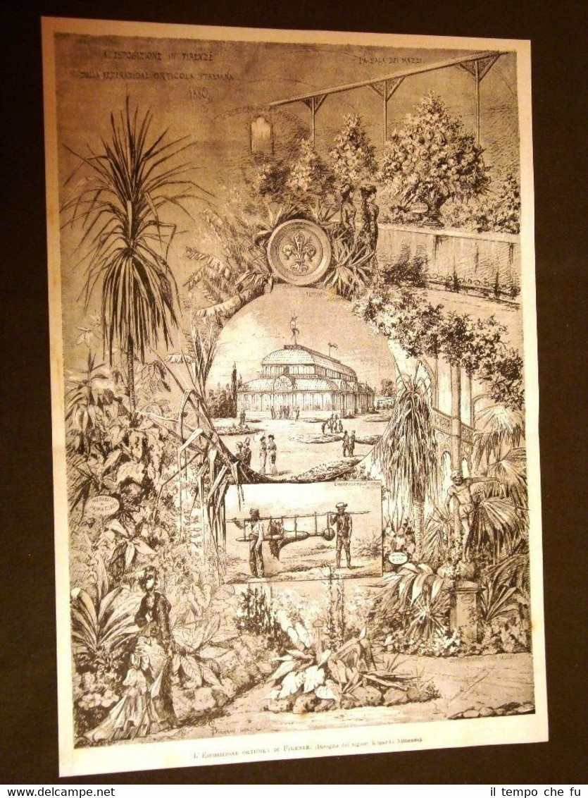 L'Esposizione orticola di Firenze del 1880 Ortaggi e agricoltura nel …
