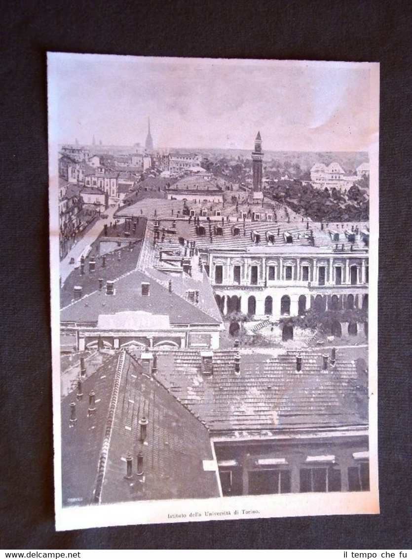 L'Università di Torino nel 1901