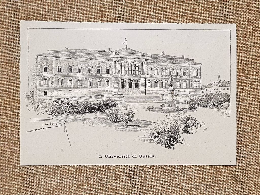 L'Università di Upsala nel 1896 Minnesota Stati Uniti d'America