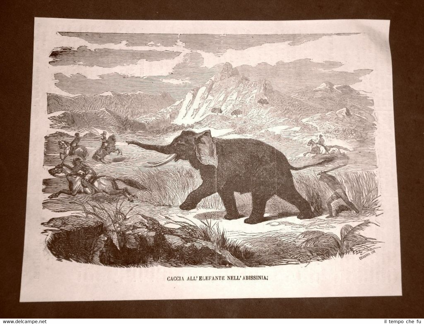 La caccia all'elefante in Abissinia nel 1866