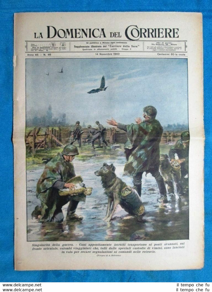 La Domenica del Corriere 14 novembre 1943 WW2 Cani da …