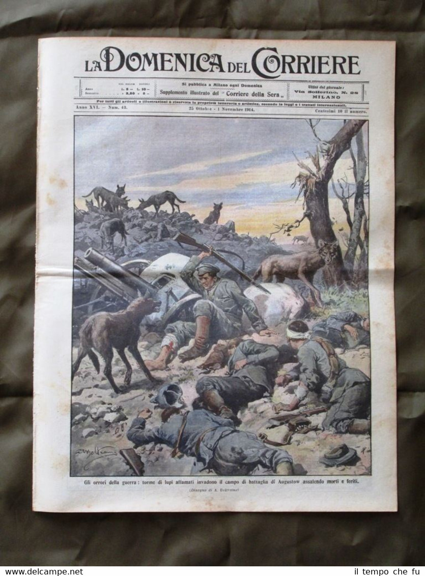 La Domenica del Corriere 25 Ottobre 1914 Lupi Soldato Lorena …