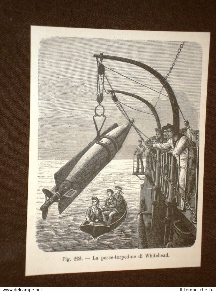La marina nella storia La pesce torpedine di Whitehead
