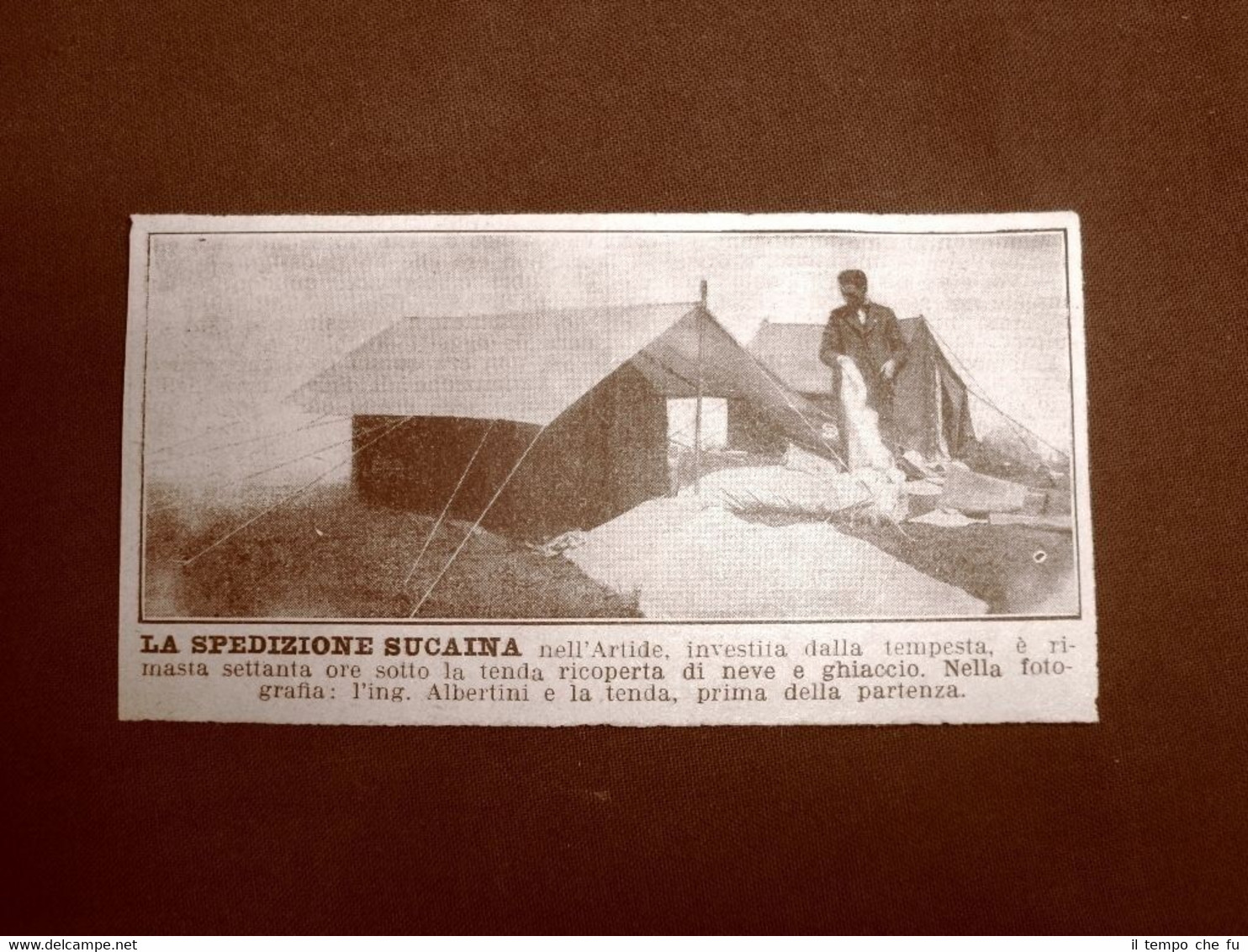 La spedizione Sucaina nell'Artide nel 1929 L'ingegnere Albertini