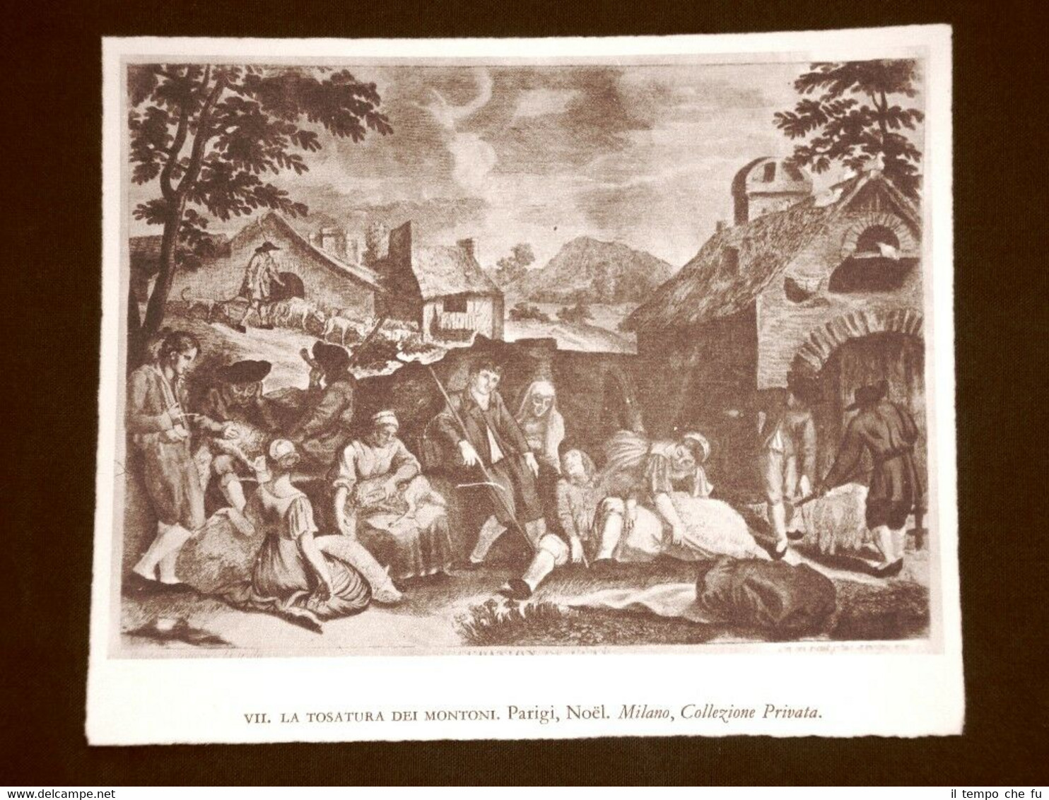 La tosatura dei montoni Noel Milano Collezione privata Stampa popolare …