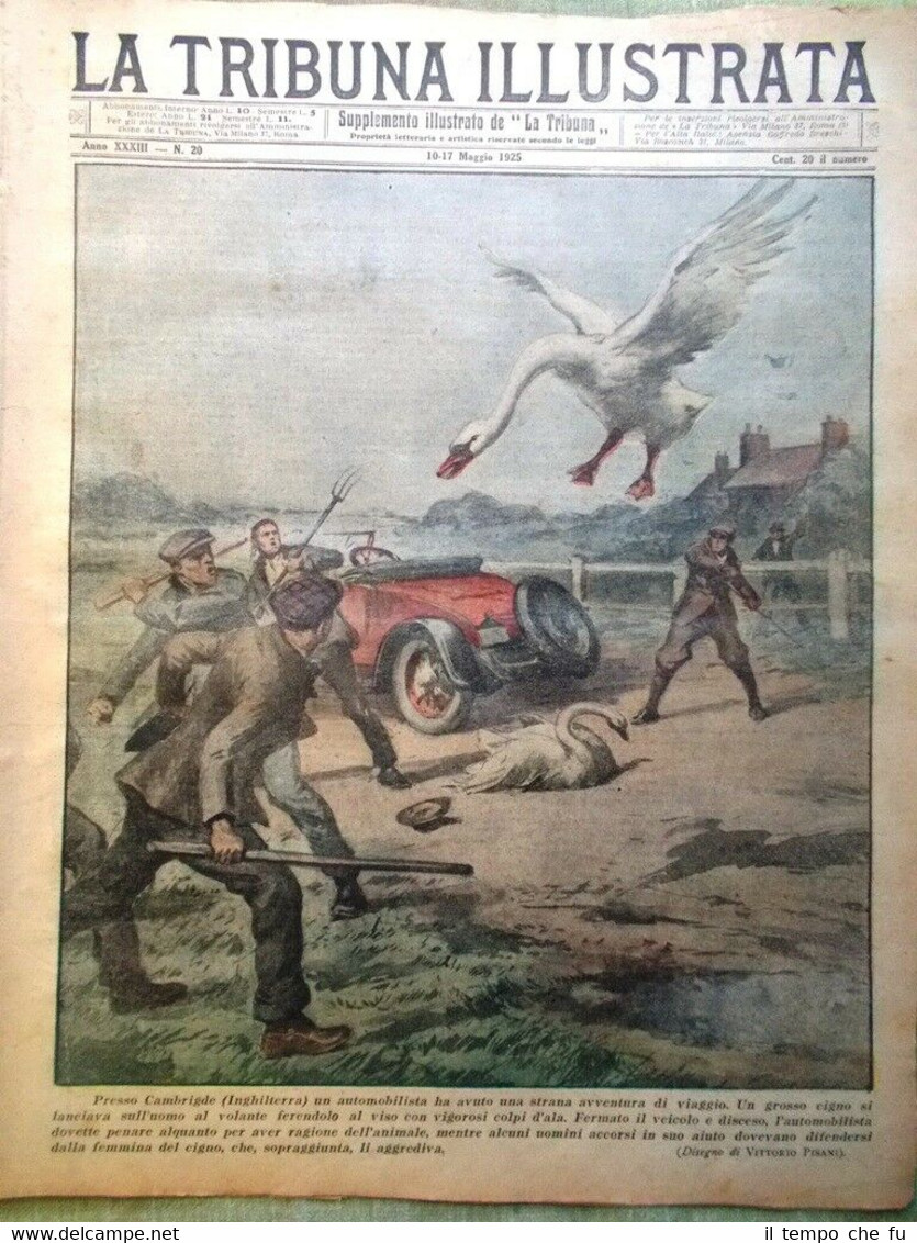 La Tribuna Illustrata 17 Maggio 1925 Principe Umberto Aimone Coogan …