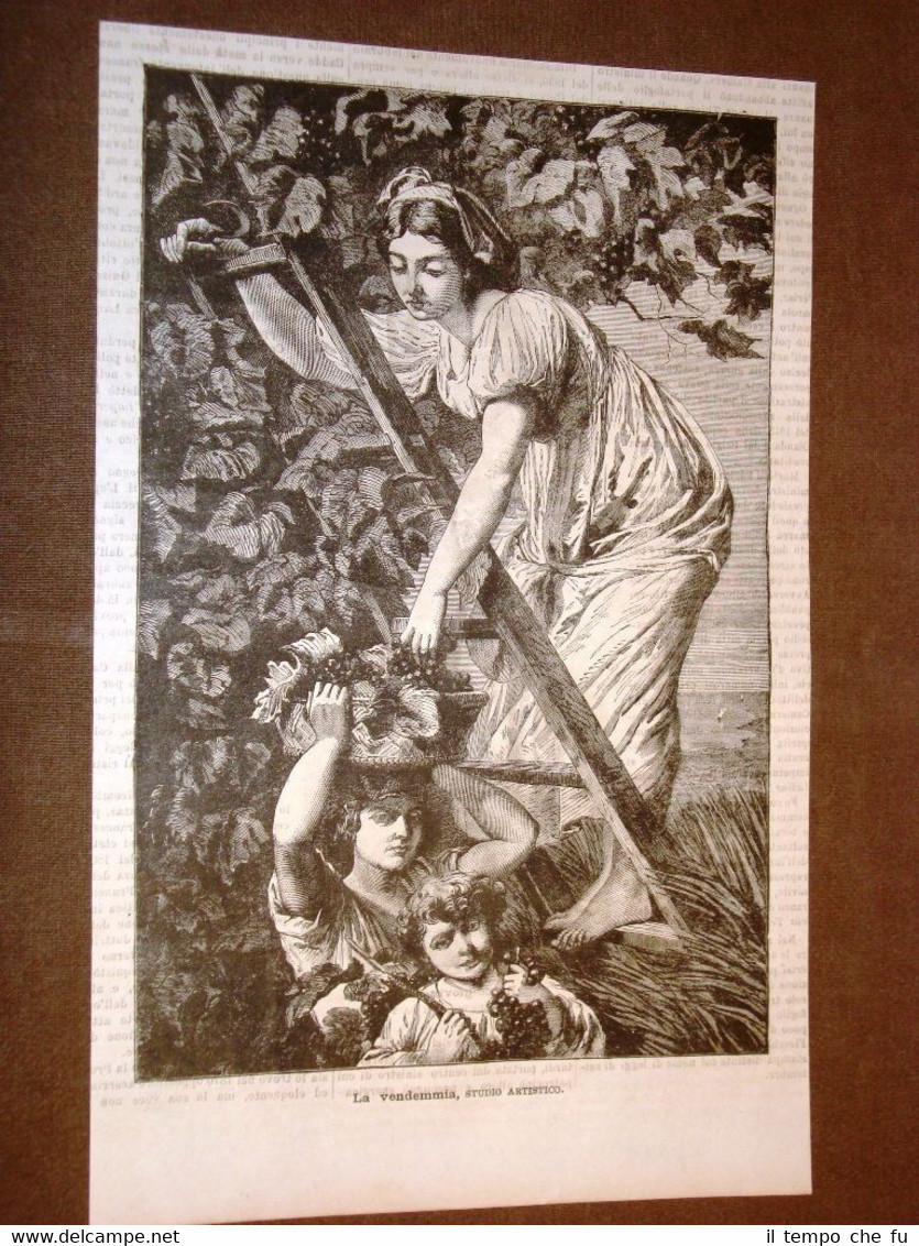 La vendemmia Studio artistico del 1877 + Bacco giovinetto di …
