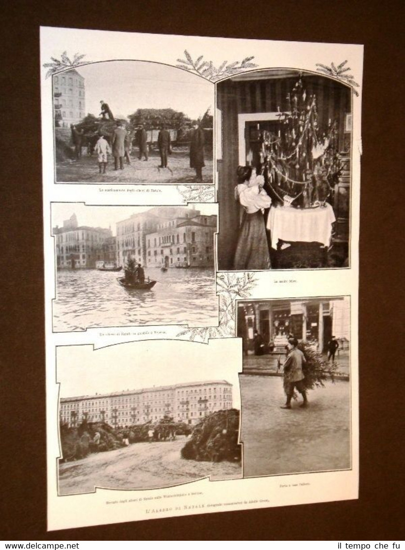 Lalbero di Natale nel 1906 + La discesa del pifferaro …