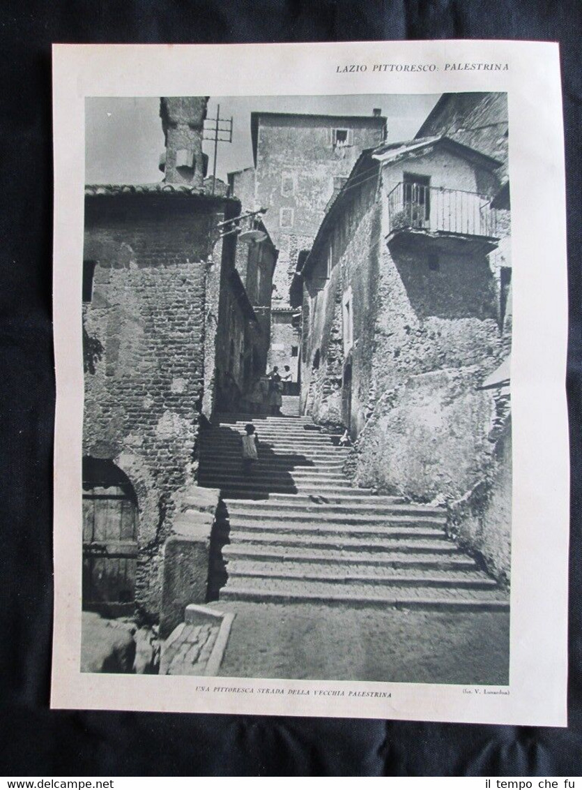 Lazio pittoresco, Palestrina: Strada + Pozzo dei Cappuccini Stampa del …