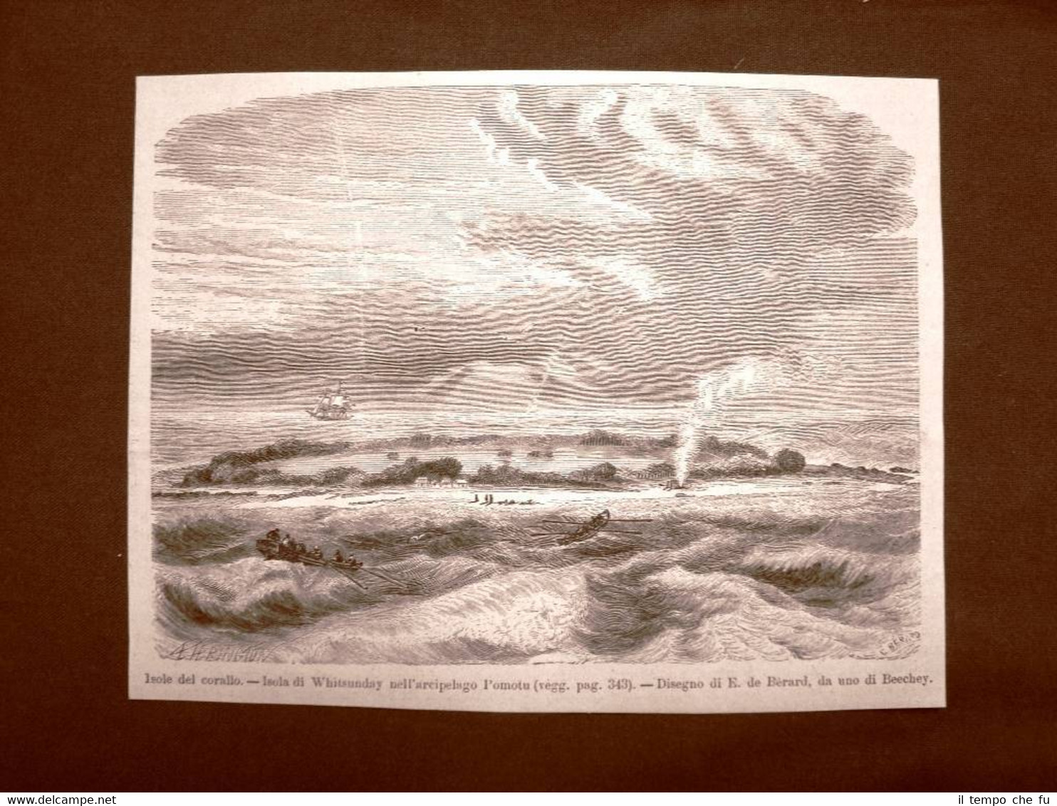 Le Isole Whitsunday nel 1863 Arcipelago Pomotu Cumberland Islands Australia