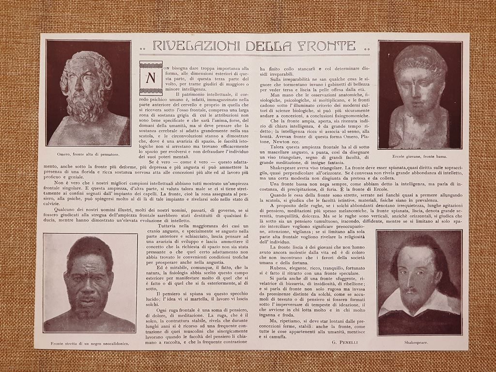 Le rivelazioni che offre la fronte Articolo di G. Penelli …