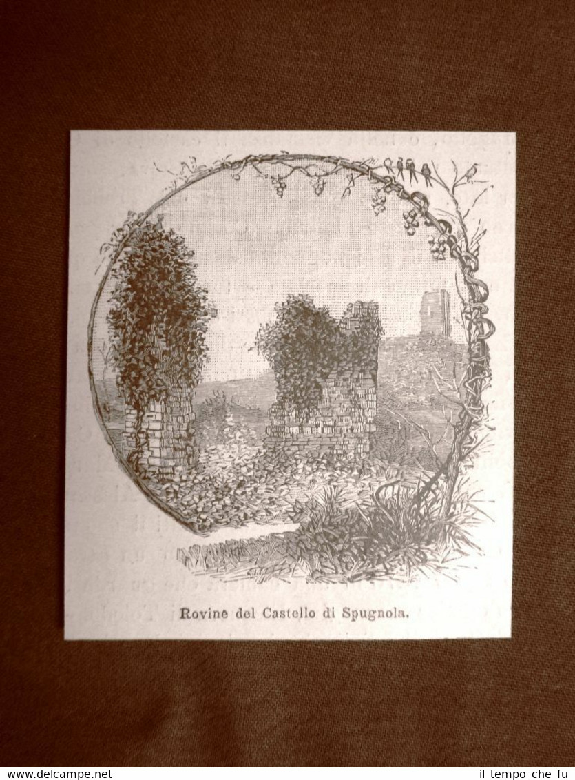 Le rovine del Castello di Spugnola o Spugnole nel 1891