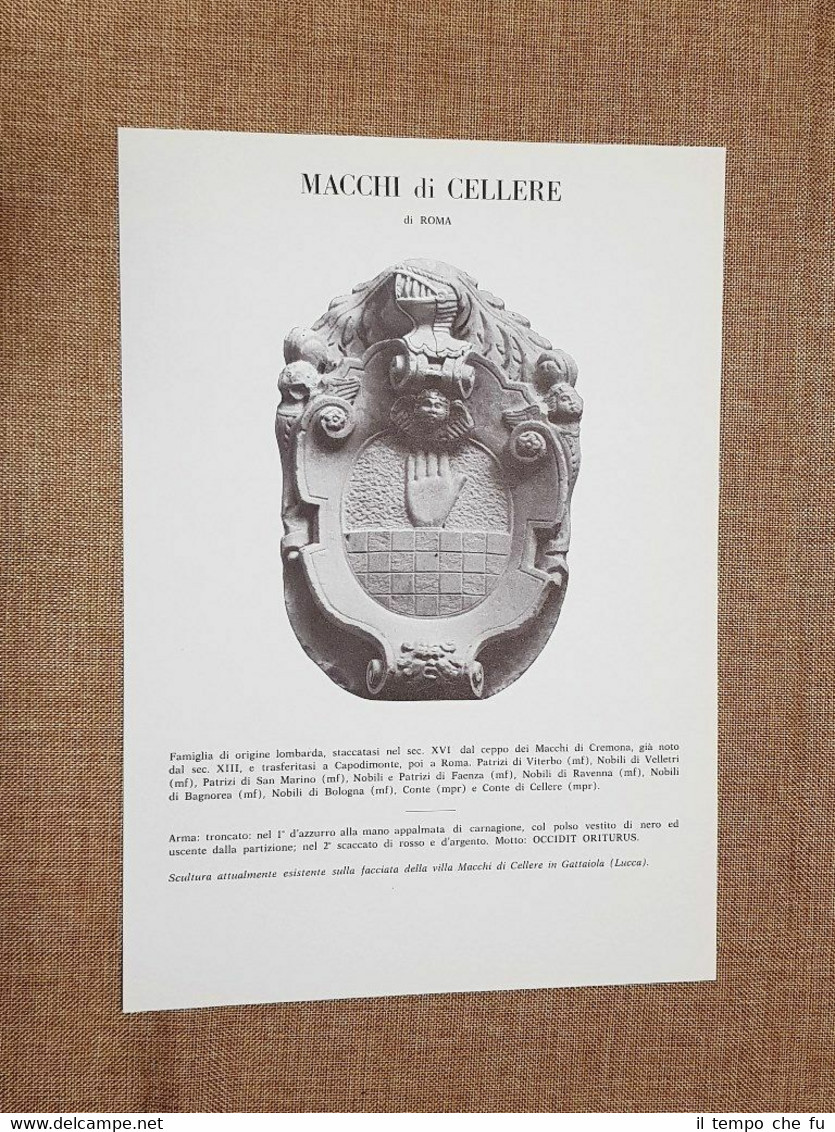 Macchi di Cellere di Roma Stemma Famiglia Nobile Nobiltà Araldica