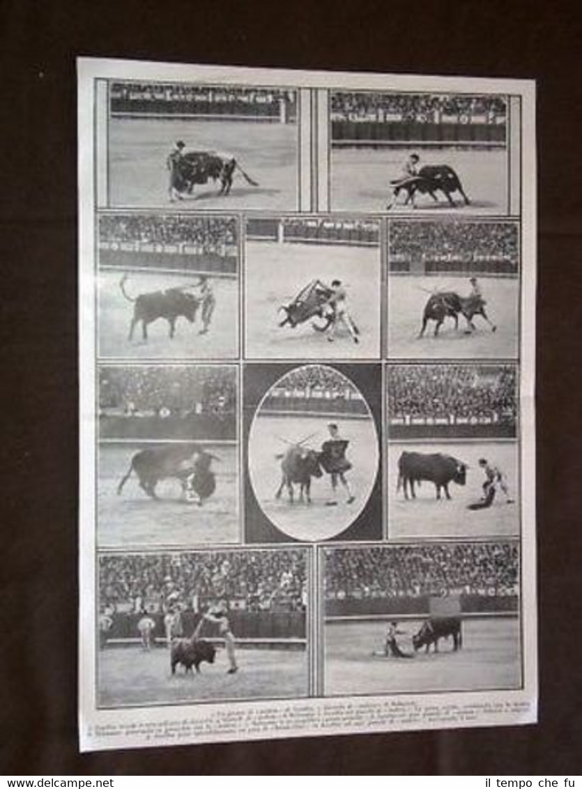 Madrid Plaza de Toros Toro Torero Joselito e Palco