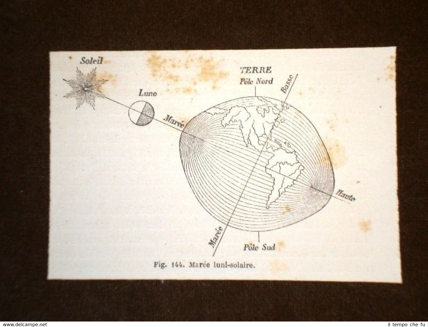 Marea luni - solare nel 1864