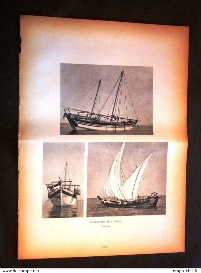 Marina nella storia Veliero del Mar Rosso Sambuco + Estremo …