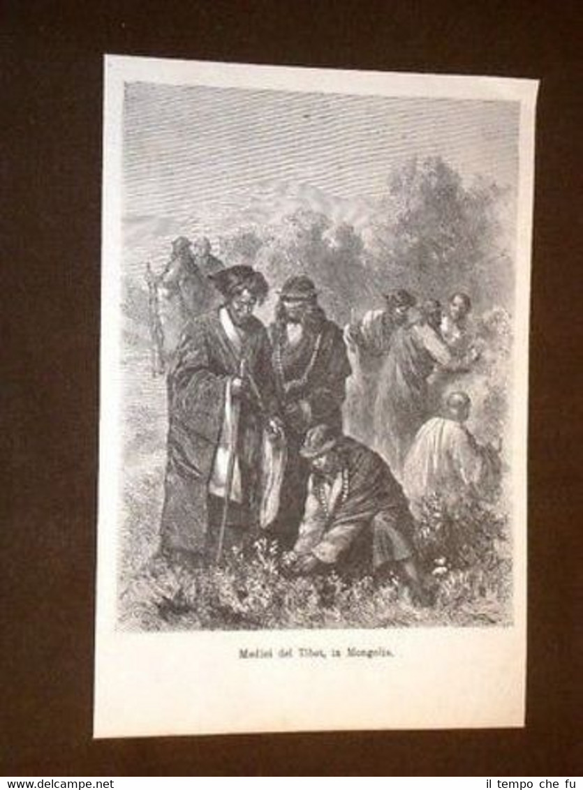 Medici del Tibet o Tibetani Mongolia