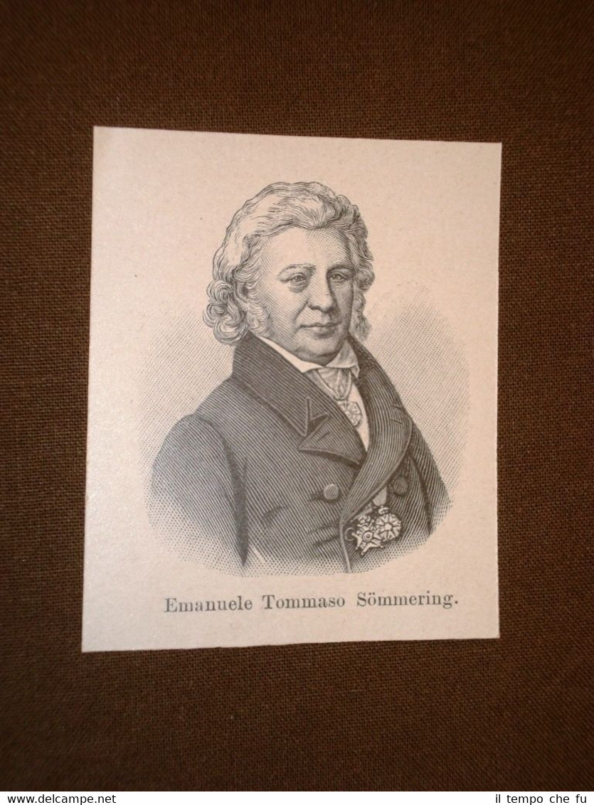 Medico Samuel Thomas von Sömmerring Toru?, 1755 - Francoforte sul …