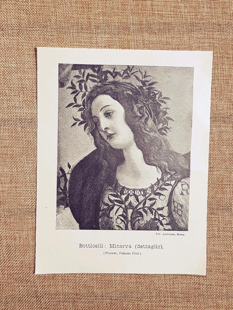 Minerva Dettaglio Botticelli Palazzo Pitti nel 1898 Firenze