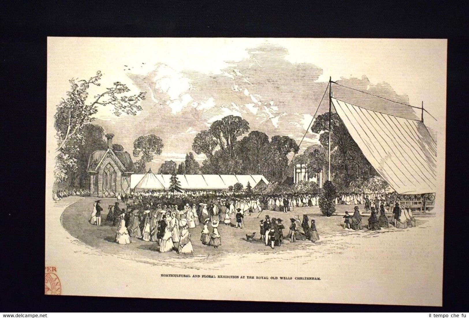 Mostra orticola e floreale alla Royal Old Wells Cheltenham Incisione …