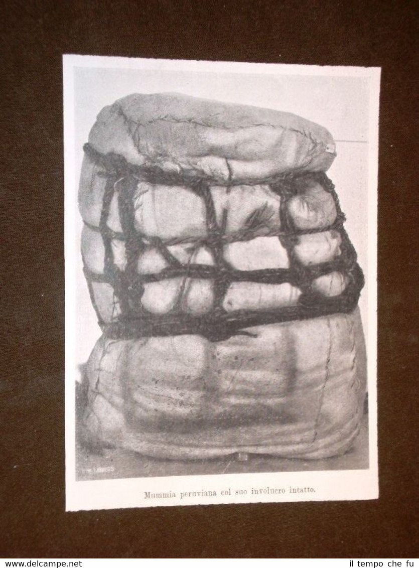 Mummia del Perù con il suo involucro intatto