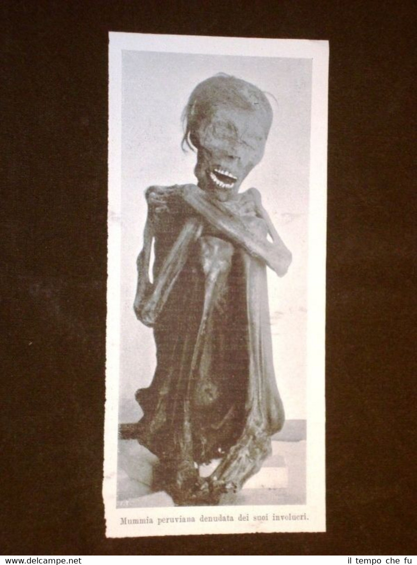 Mummia del Perù denudata dei suoi involucri