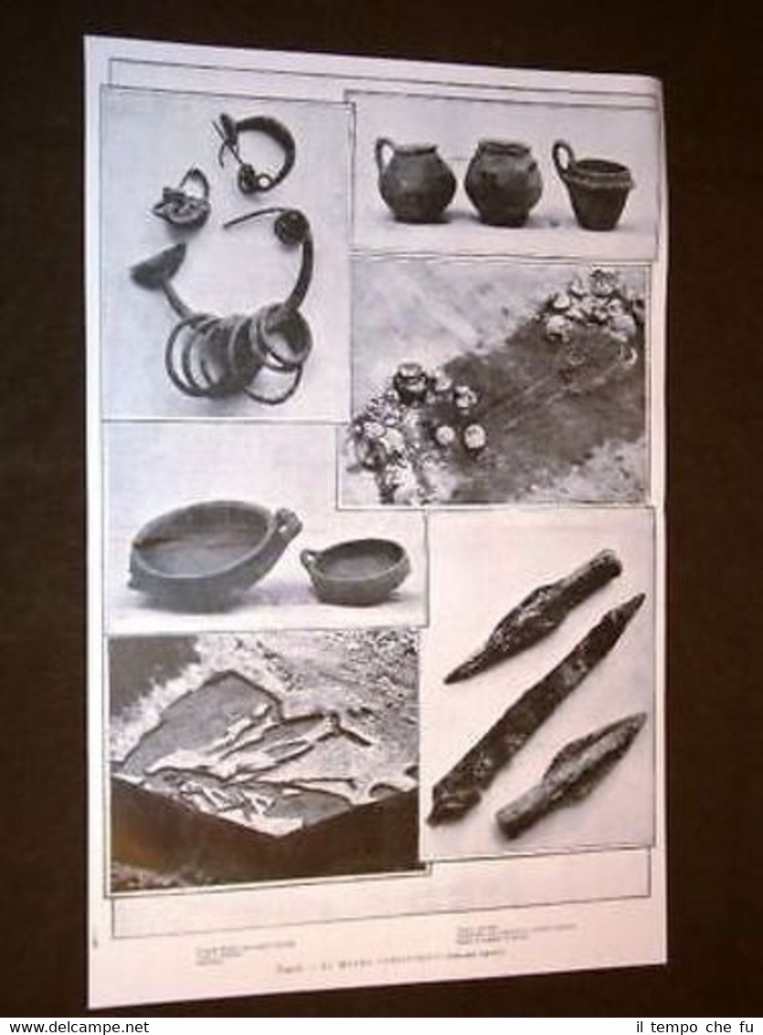 Napoli Il Museo preistorico