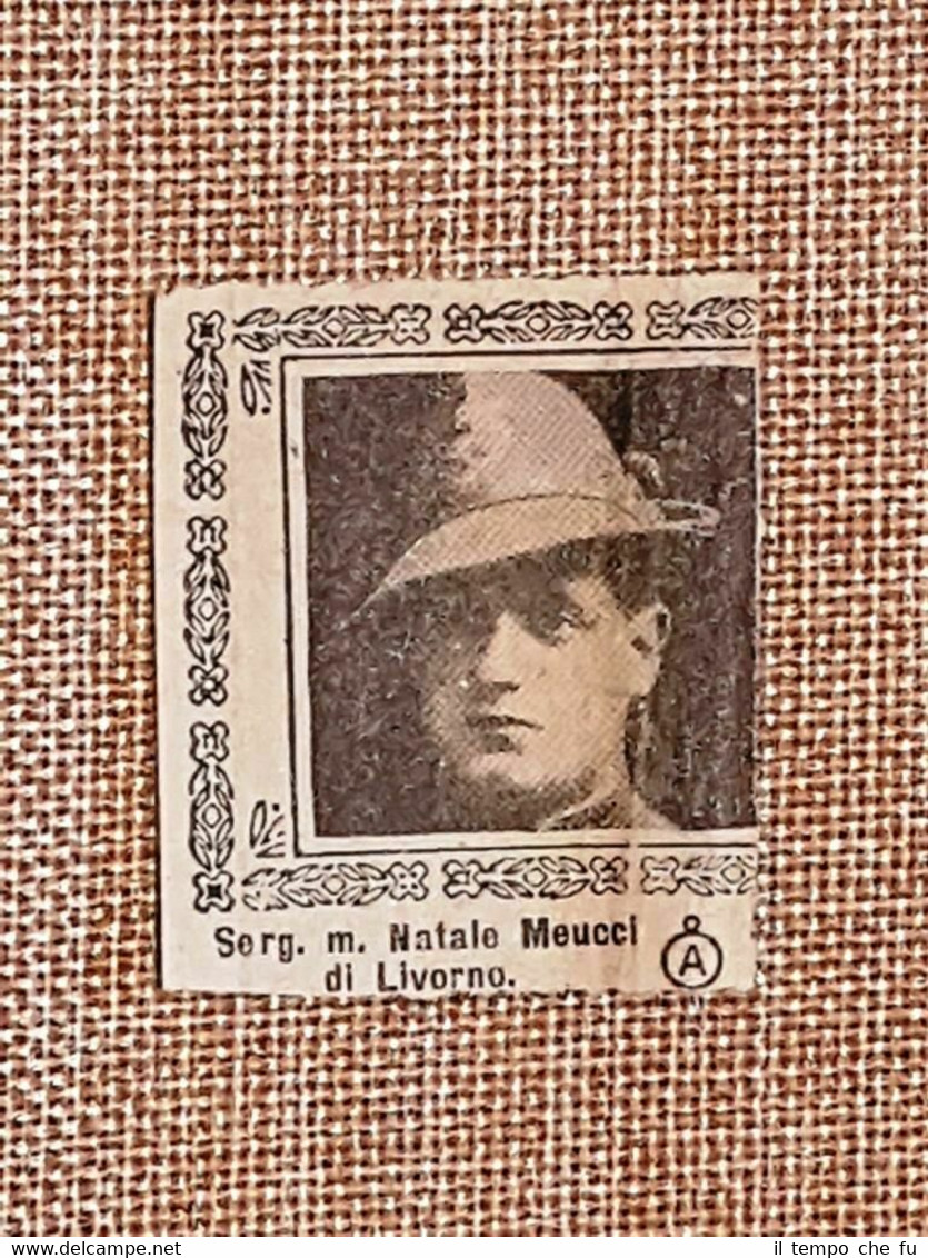 Natale Meucci di Livorno Caduto nella Prima guerra mondiale WW1