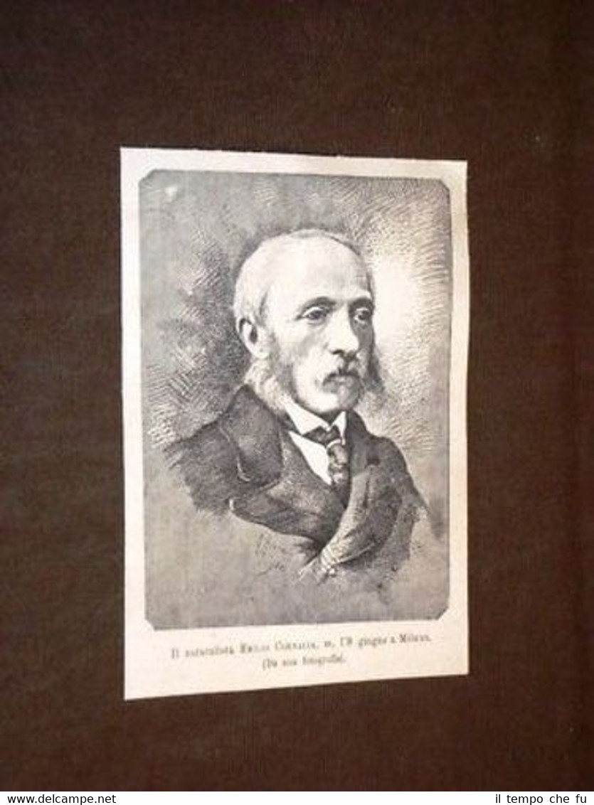 Naturalista Emilio Cornalia di Milano