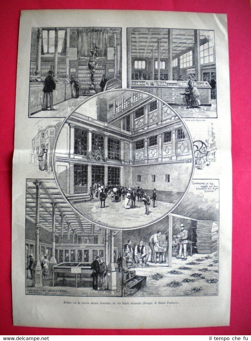 Nel 1885 a Roma - Il nuovo Museo Agrario, in …
