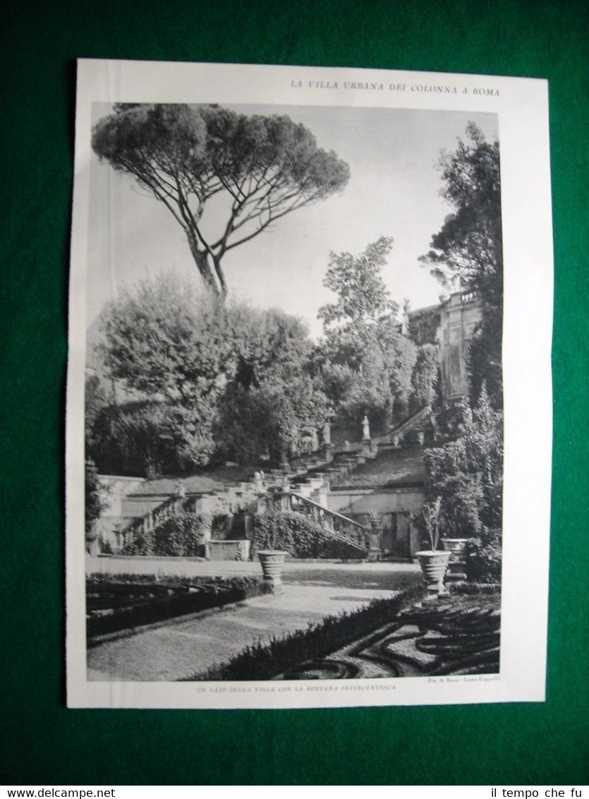 Nel 1931 Roma Villa Urbana dei Colonna Veduta Giardino Superiore
