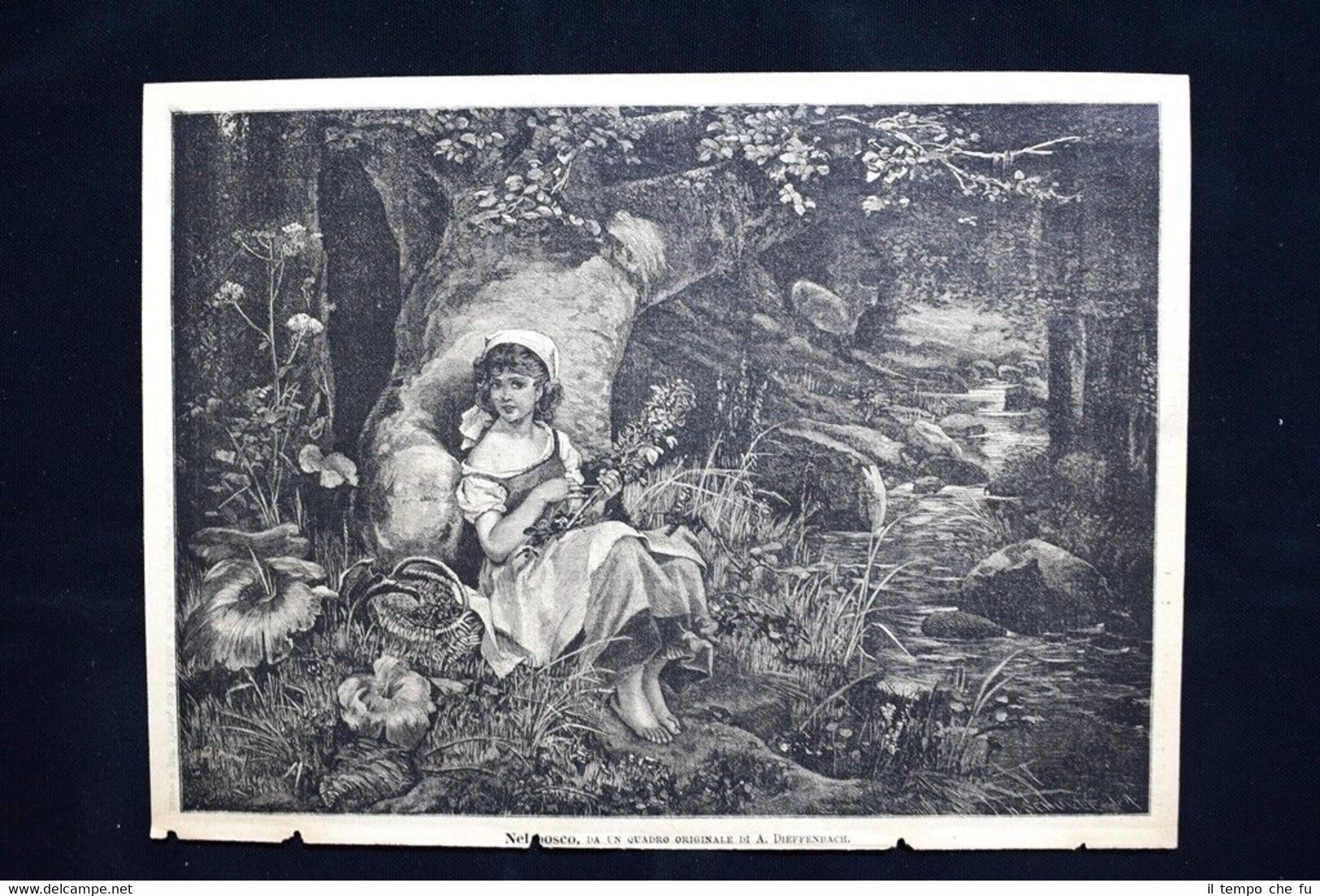 Nel bosco, da un quadro originale di A. Dieffenbach Incisione …