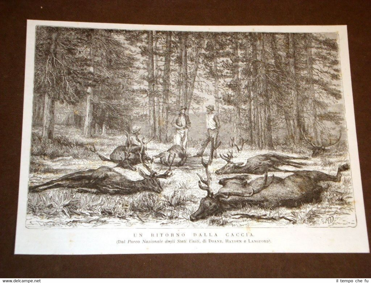 Nel Parco Nazionale degli Stati Uniti d'America nel 1875 Un …