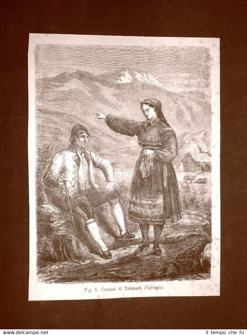 Nella Contea di Telemark o Telemark fylke nel 1883 Costume …