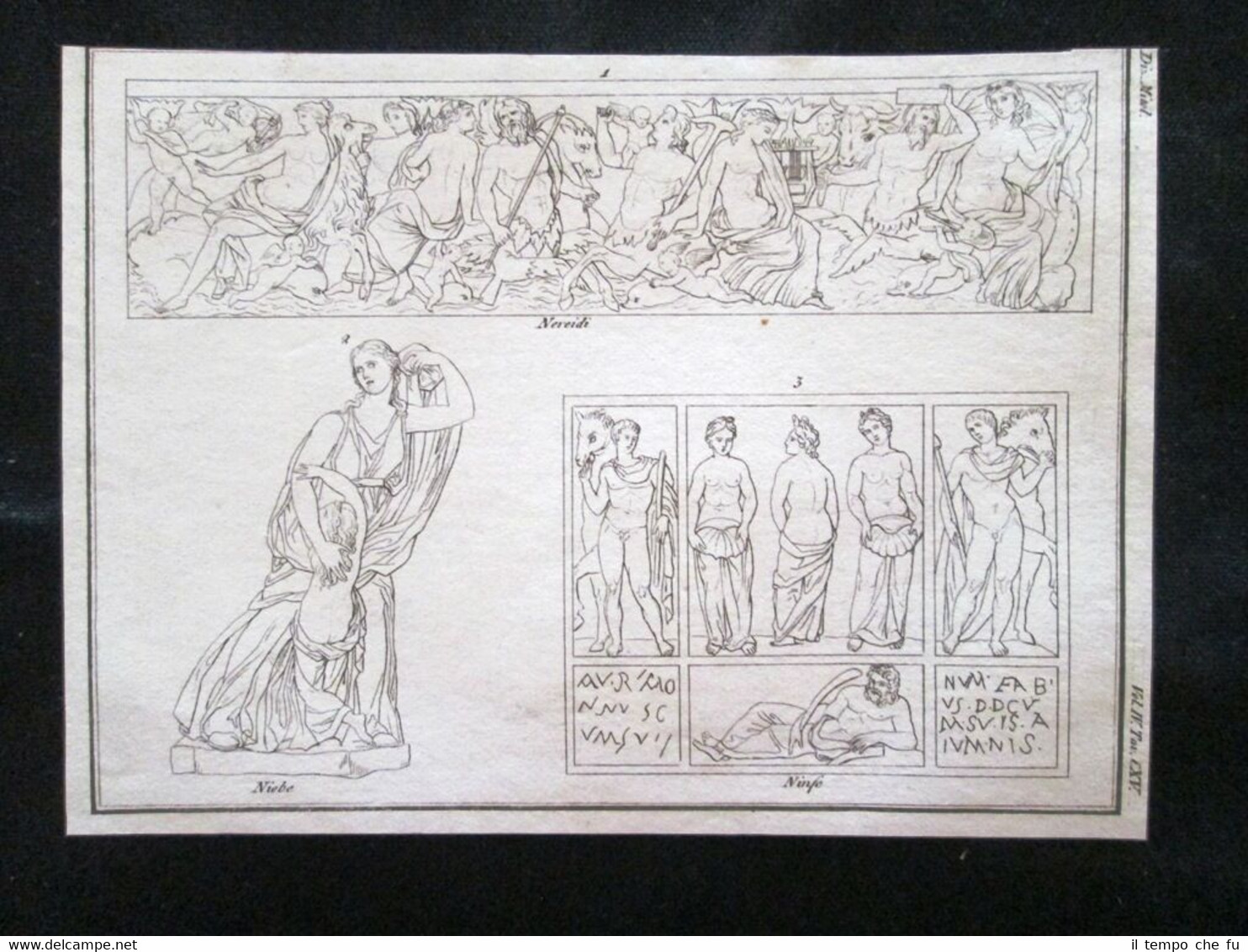 Nereidi, Niobe, Ninfe Incisione all'acquaforte del 1820 Mitologia Pozzoli