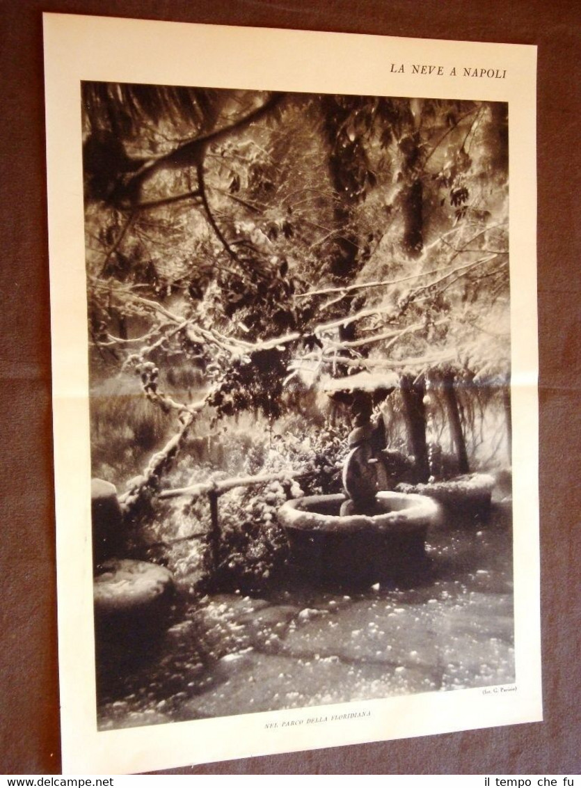 Neve a Napoli nel 1928 Parco della Floridiana Veduta del …