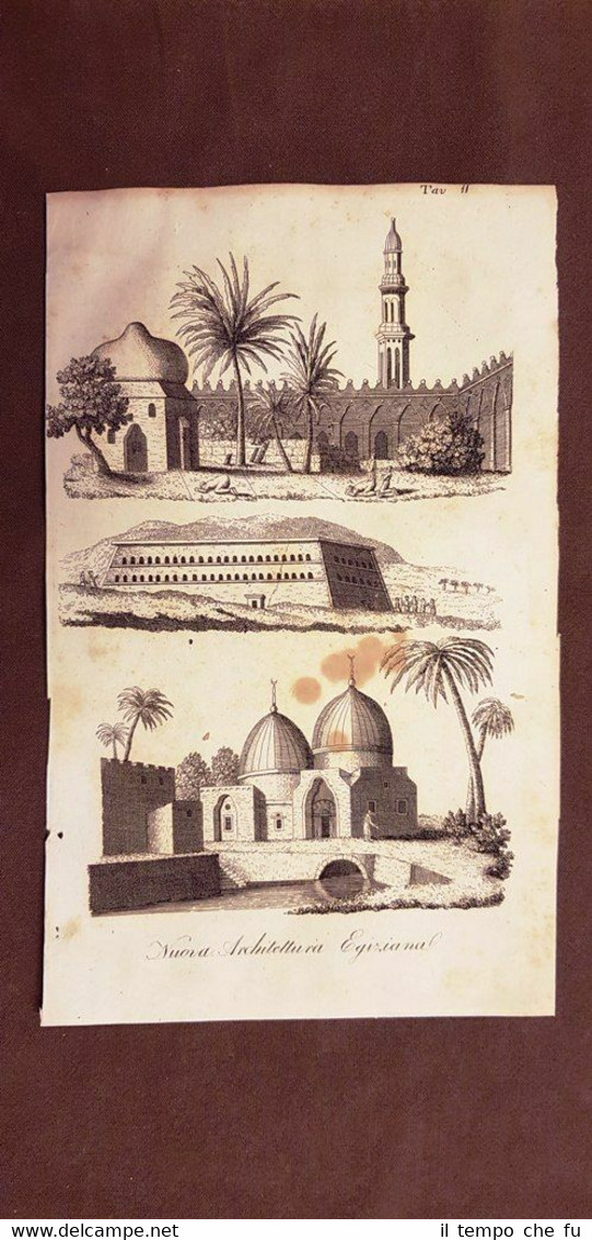 Nuova architettura egiziana Egitto Acquaforte del 1830 Costume antico G.Ferrario