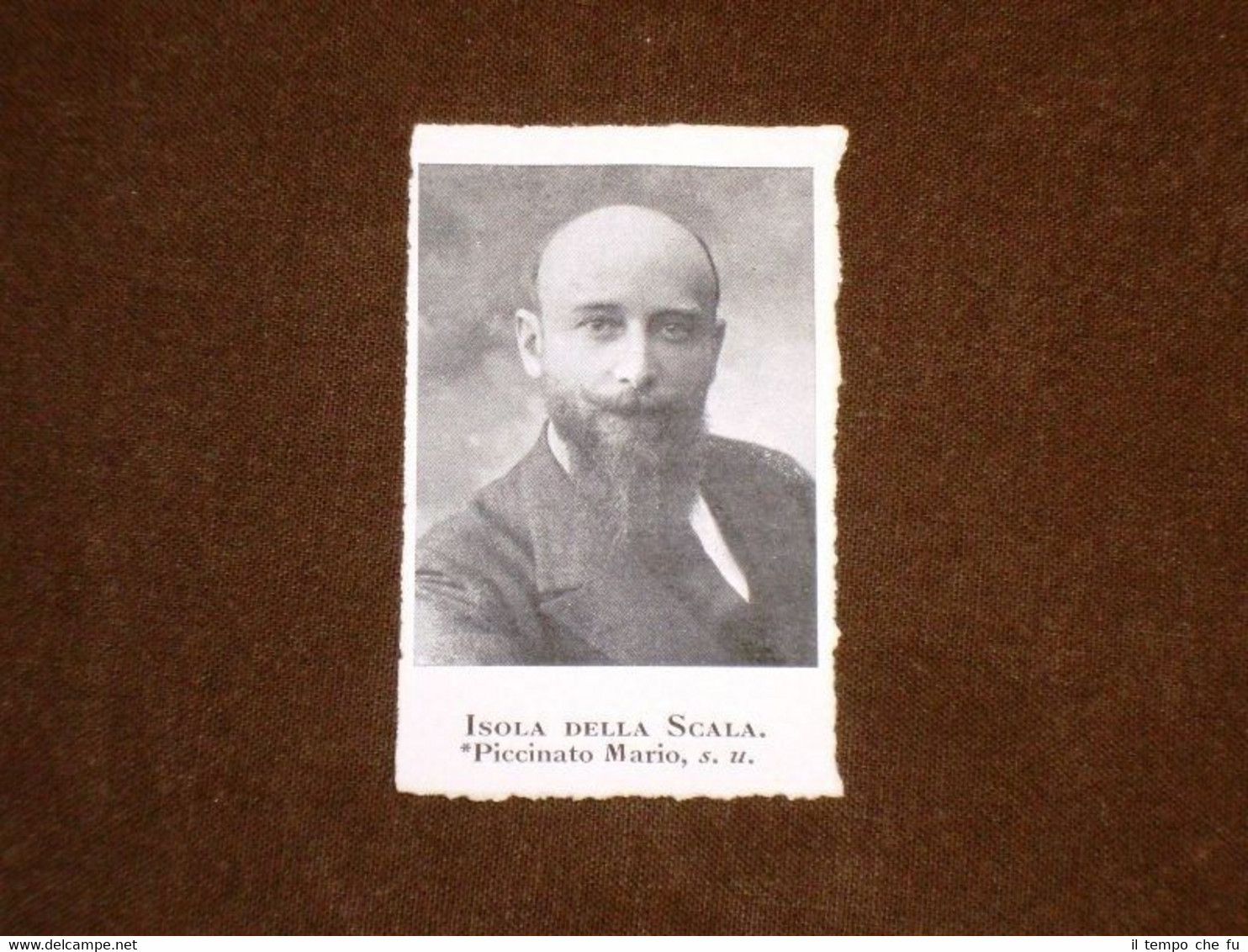 Onorevole Piccinato Mario di Isola della Scala